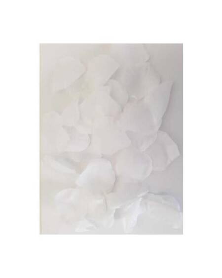 100 Pétalos  Color Blanco