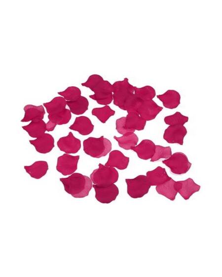 100 Pétalos Color Fúcsia