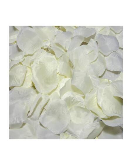 100 Pétalos Color Vainilla