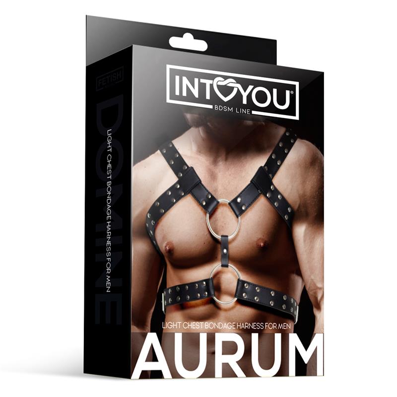 Aurum Arnés Masculino para Bondage Cuero Vegano - Imagen 4