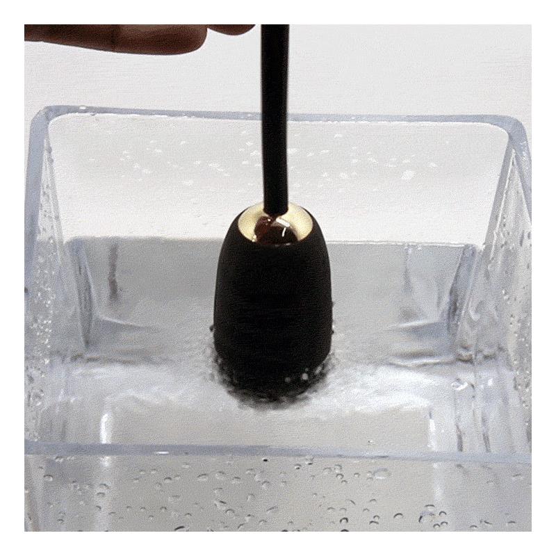 Bola Kegel con Control Remoto Royal Pleasure - Imagen 6