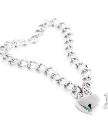 Collar con Candado Metal Talla M 44 cm