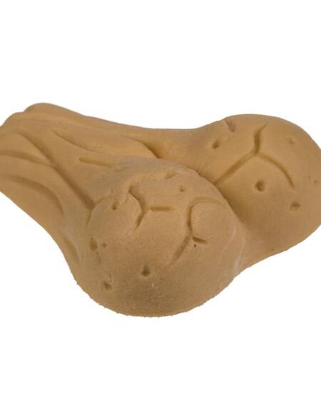 Growing Testicle 4x3 cm