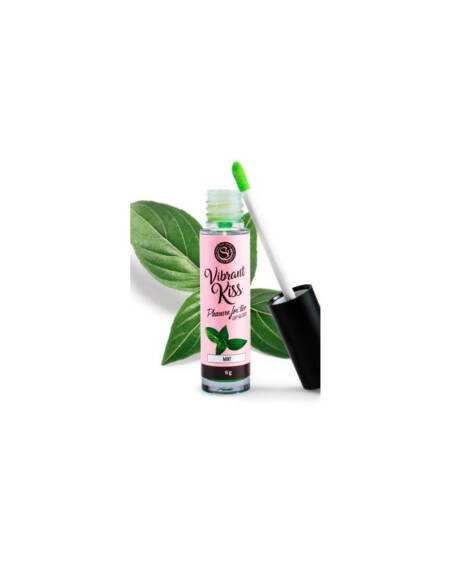 Lip Gloss Vibrant Kiss Sabor Menta