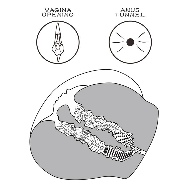 Masturbador Streetgirls 12 - Imagen 11