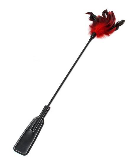 Pala y Plumas Estimuladoras 2 en 1