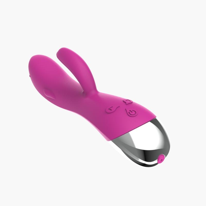 Vibrador Dolphin 6 Funciones USB Rosa - Imagen 7