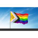 Bandera Intersexsual 90x150cm