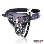 Cinturón de Castidad Masculino con Candado Ajustable