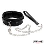 Collar con Correa Acolchado