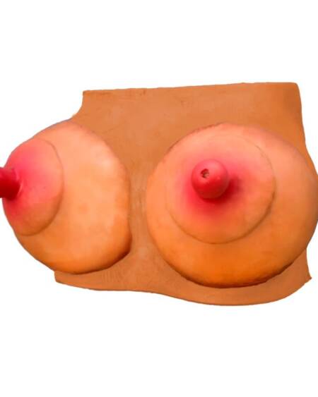 Hucha Forma de Pechos