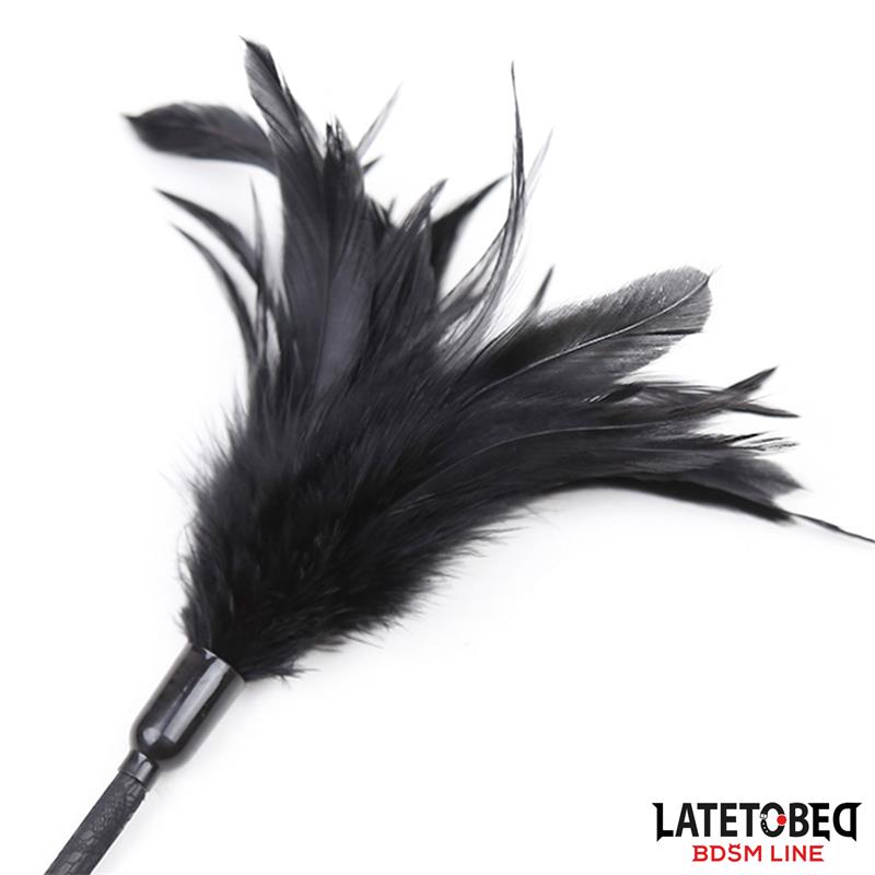 Multi Feathers Tickler and Lace Ribbon Paddle Comb - Imagen 3