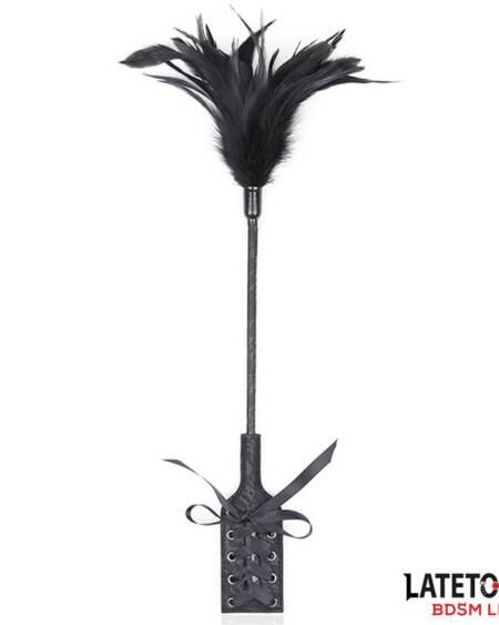 Multi Feathers Tickler and Lace Ribbon Paddle Comb