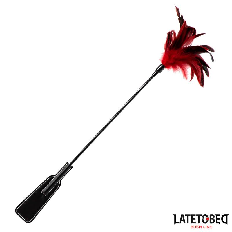 Pala con Plumas 2 en 1 - Imagen 2