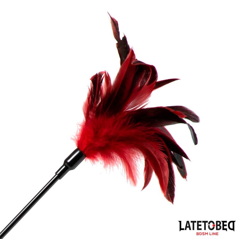 Pala con Plumas 2 en 1 - Imagen 3