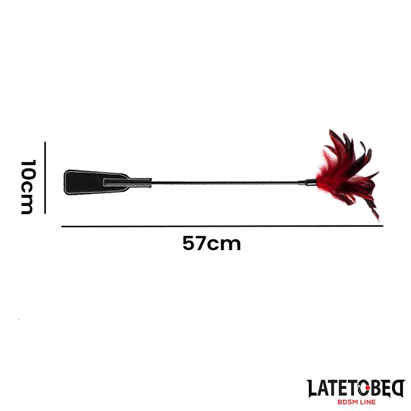 Pala con Plumas 2 en 1 - Imagen 5