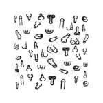 Posavasos Cuadrados Penes 10 und