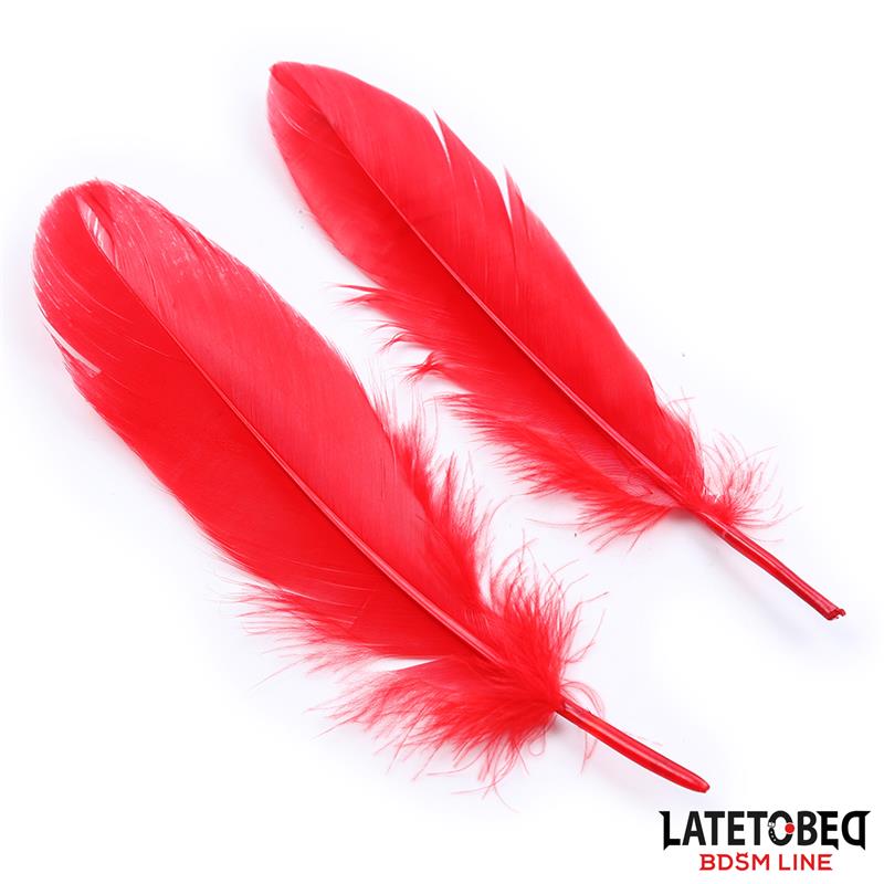 Set de 3 Piezas Antifaz, Plumas y Esposas - Imagen 4