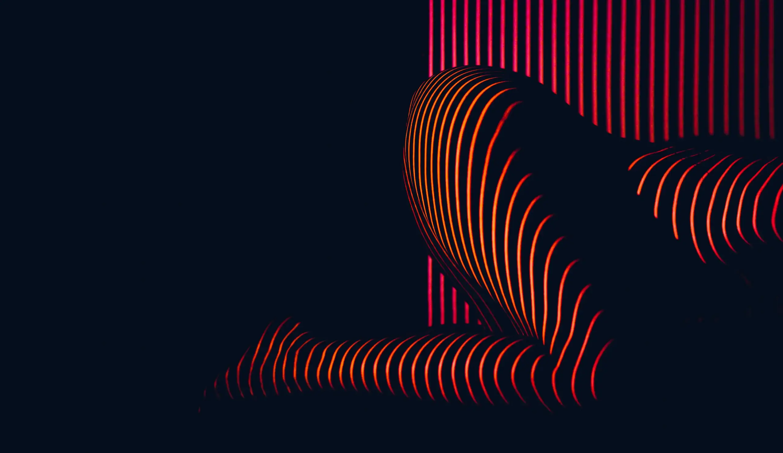 Placer y diversión en Elche